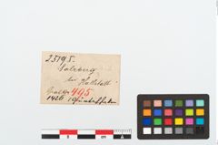 Etikett zu Bronzegürtelhaken (NHMW-PRAE-025195)